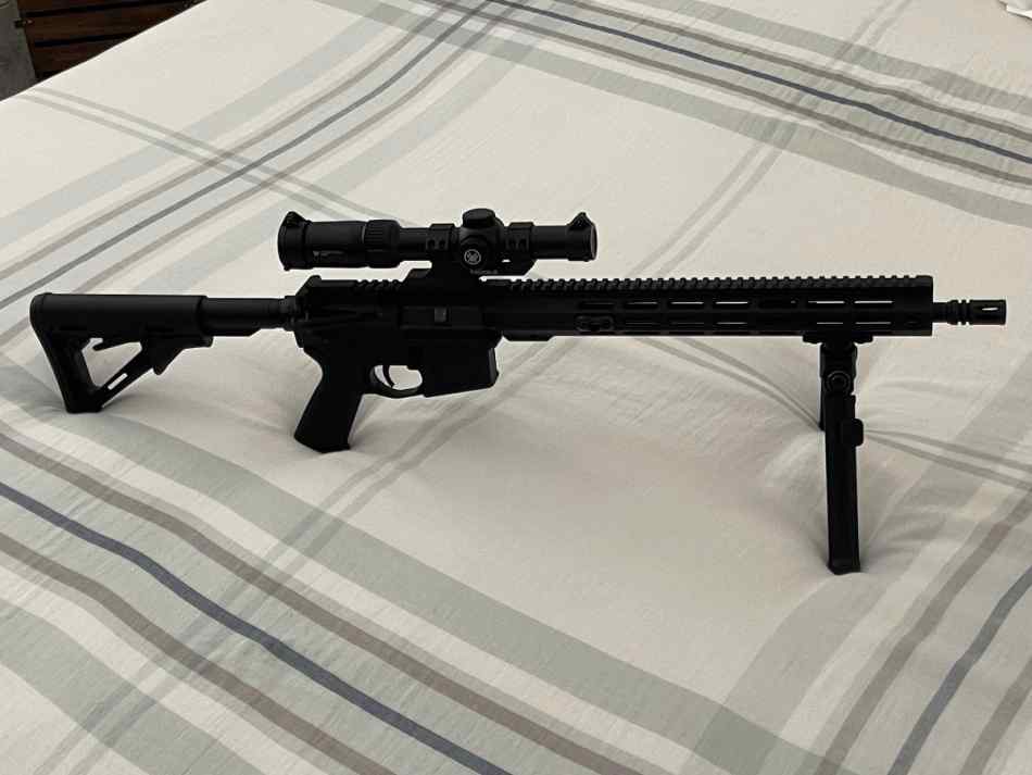 PSA AR15 5.56 with Vortex Scope