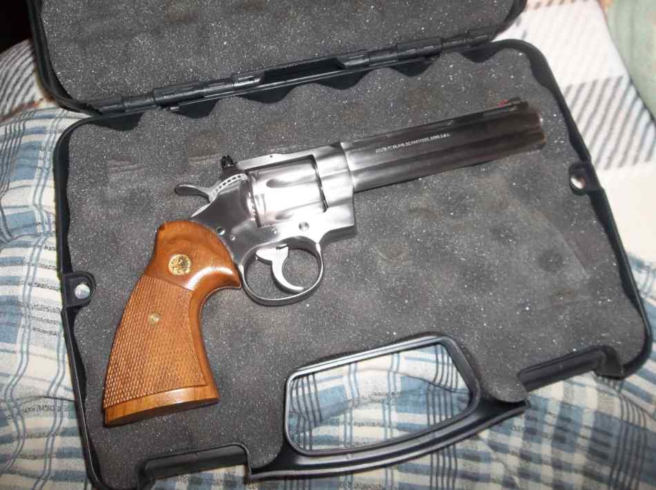 Colt Python Stainless 6"