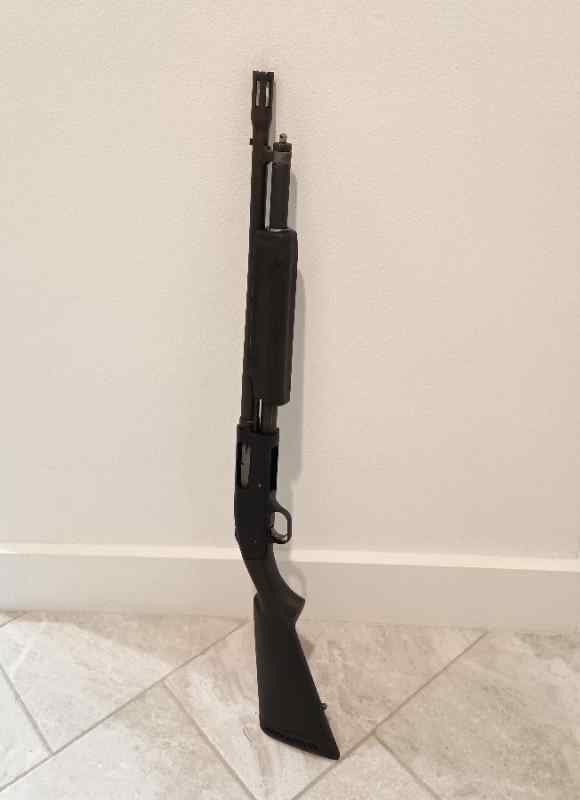 Mossberg 500 20g, plastic furniture 