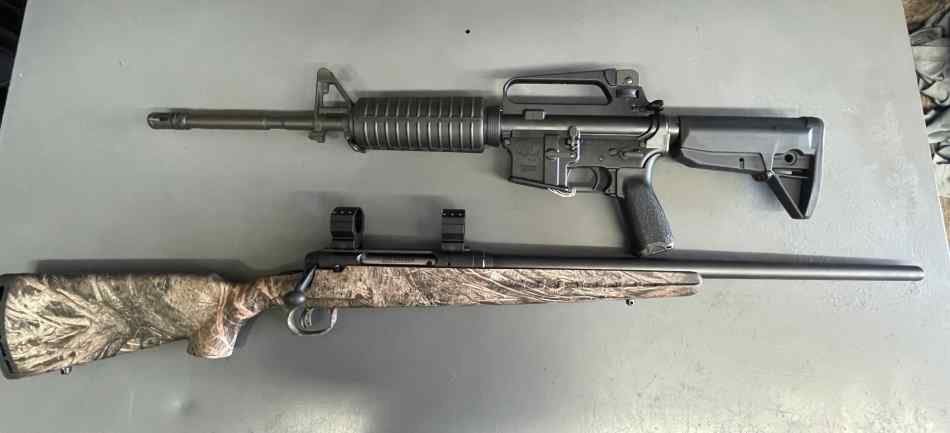 Armalite AR and Savage 22-250