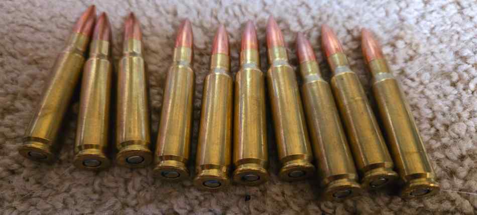 .308 ammo