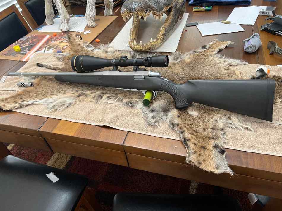 Browning ABolt II 223/5.56 SS w/BOSS and Leupold