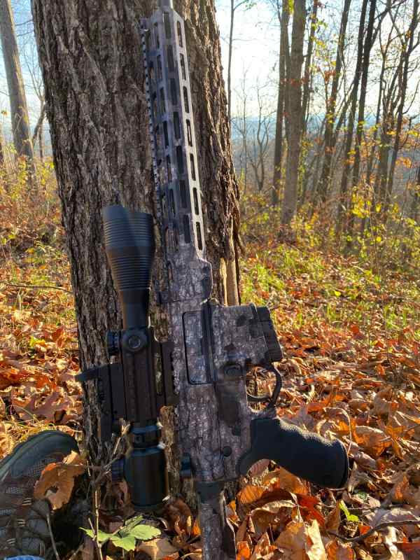 AR15_350L_Tree.jpeg