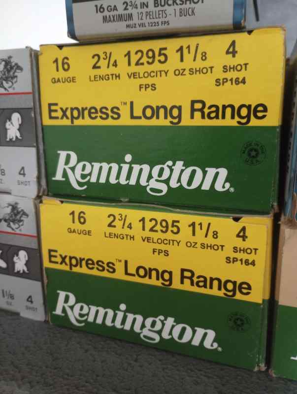 16 Gauge shotgun ammo 