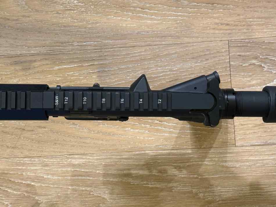 IMG_0225.jpeg