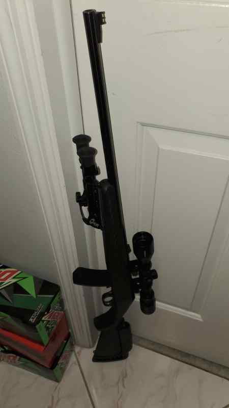 Ruger American Rimfire 22LR Bolt Action