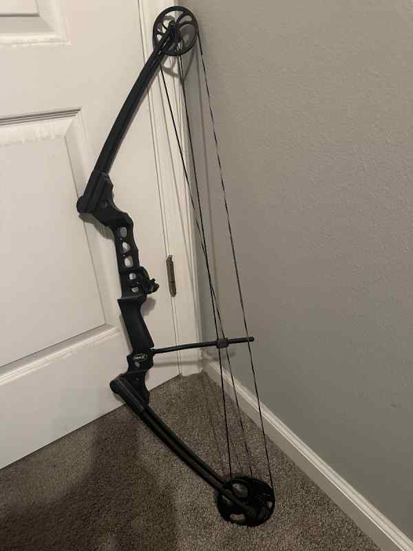 Compound bow with whisker biscuit 