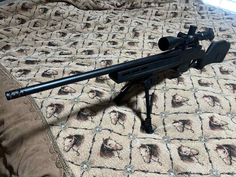 Bergara B-14 308