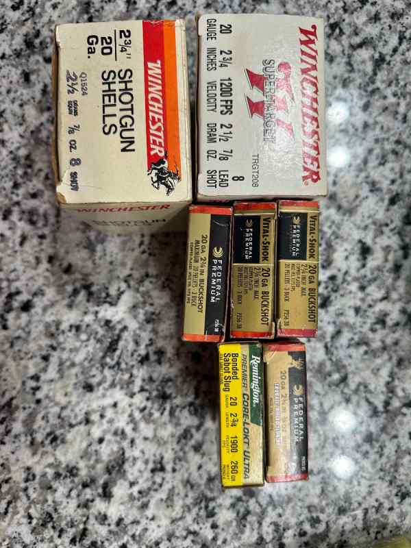 20ga ammo lot