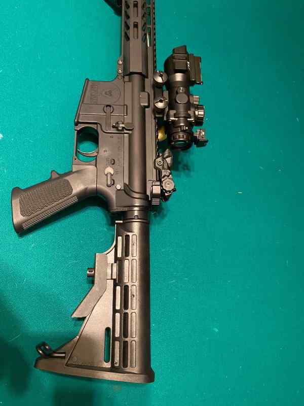 Premier firearms 556 AR 15