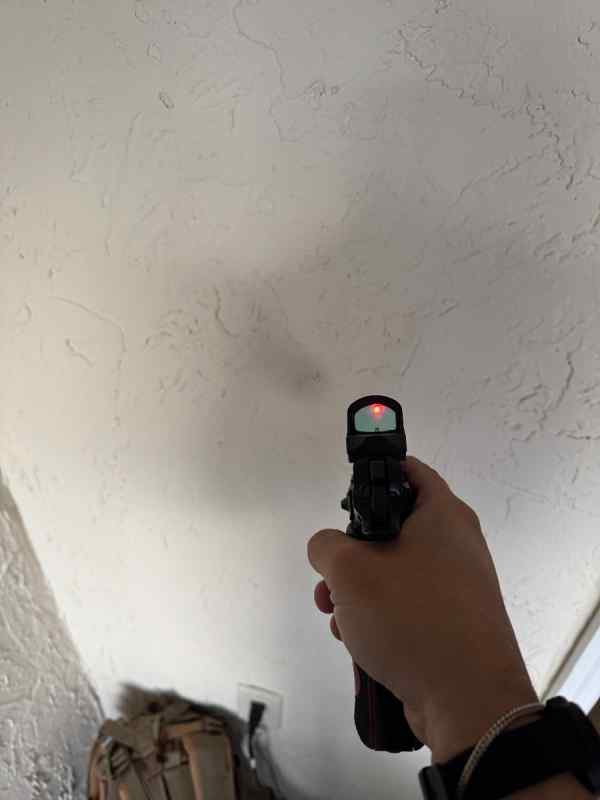 IMG_7168.jpeg