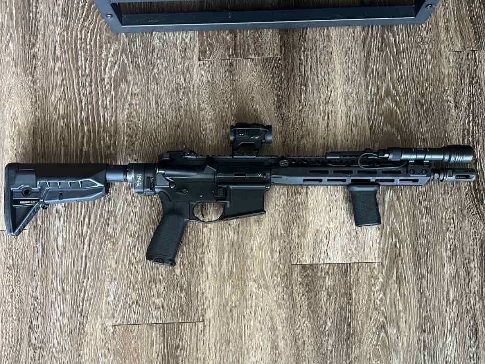 Palmetto State Armory Custom AR Build