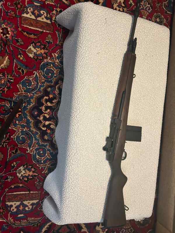 Springfield Armory M1a