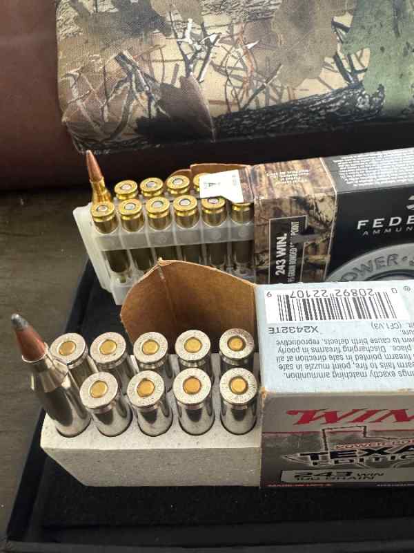 .243 Winchester 95 and 100 grain