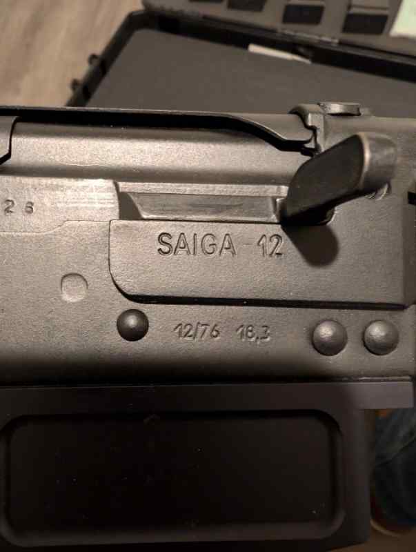 Saiga4.jpg