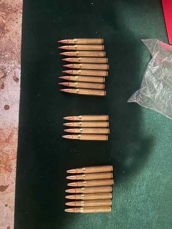 20 rounds assorted .30-06 hunting ammo 