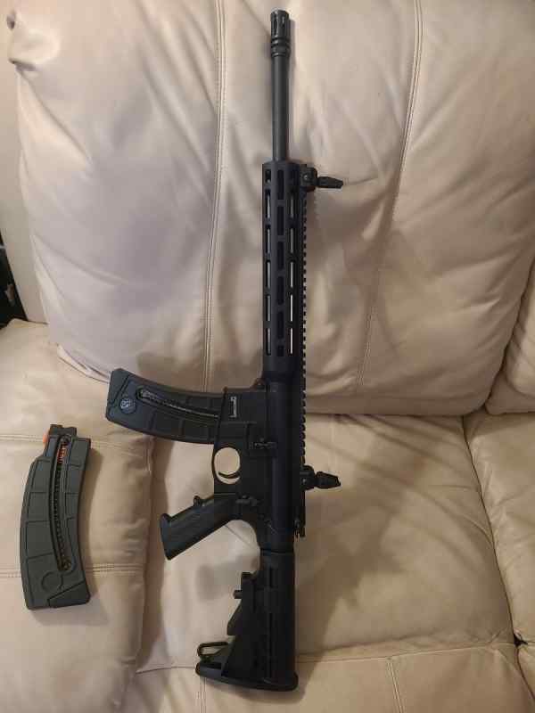 S&amp;W M&amp;P AR15/22 LR