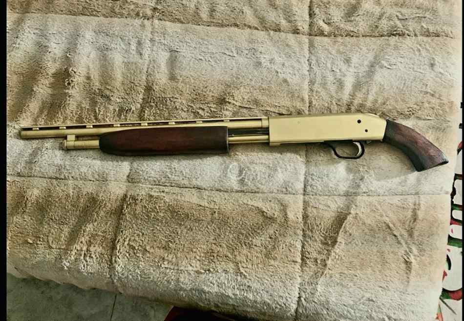 Gold mossberg 500 .410ga