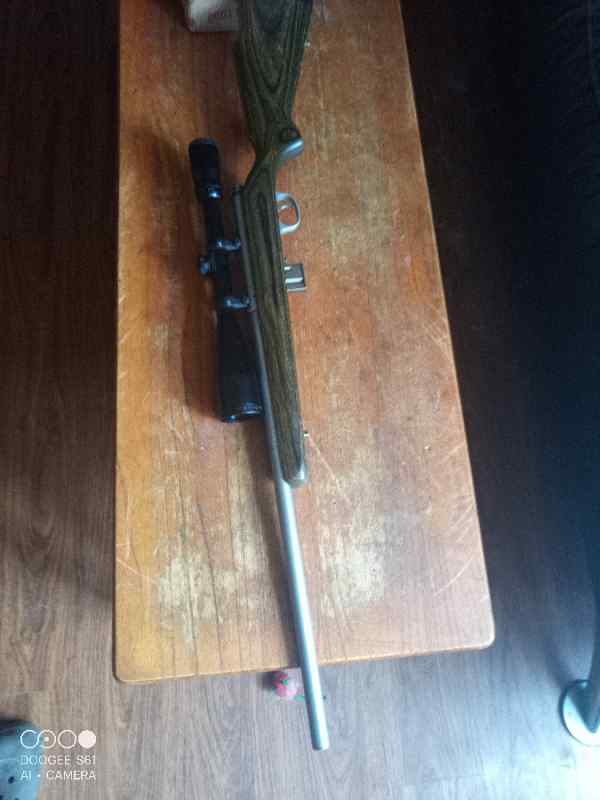 17 HMR RIFLE.jpg