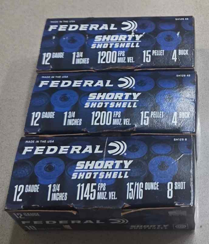 12 Gauge mini shells