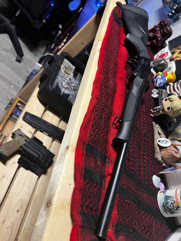 American tactical Nomad 20G WTT 