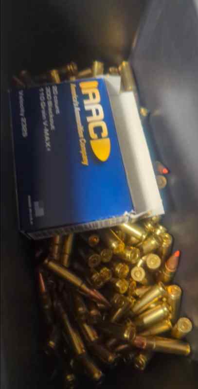 300 blackout ammo