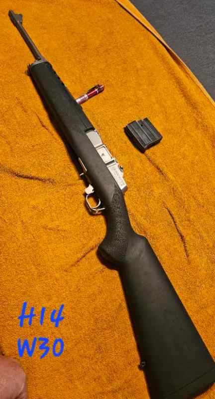 Ruger mini 14