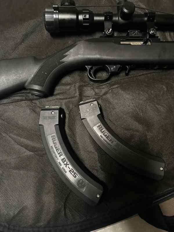 ruger 10/22 tactical 