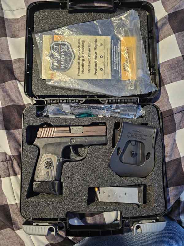 Sig sauer 290rs 9mm