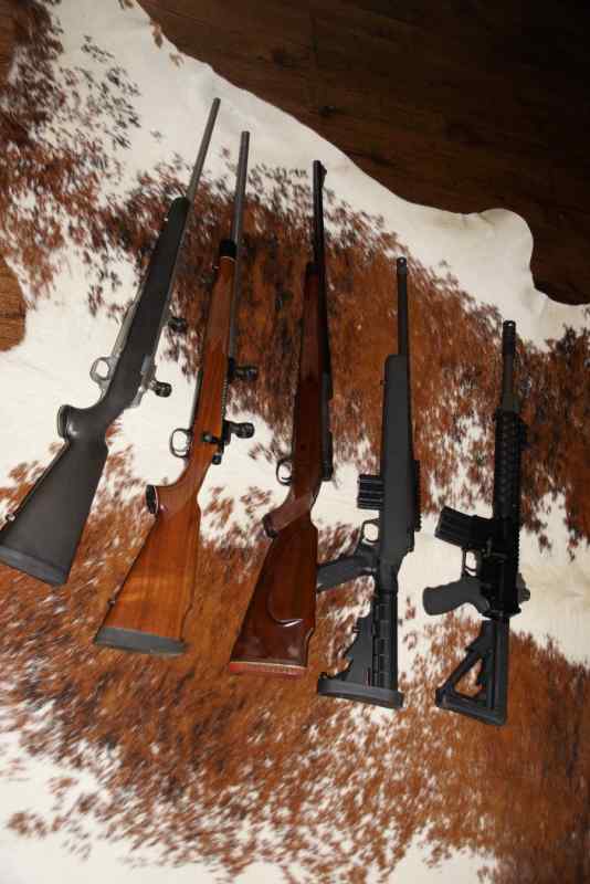 Multiple Rifles