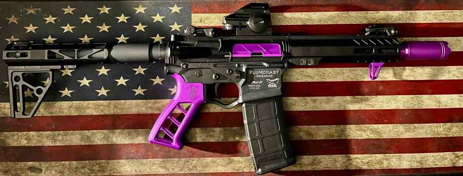 ET arms plumcrazy ar15 pistol 