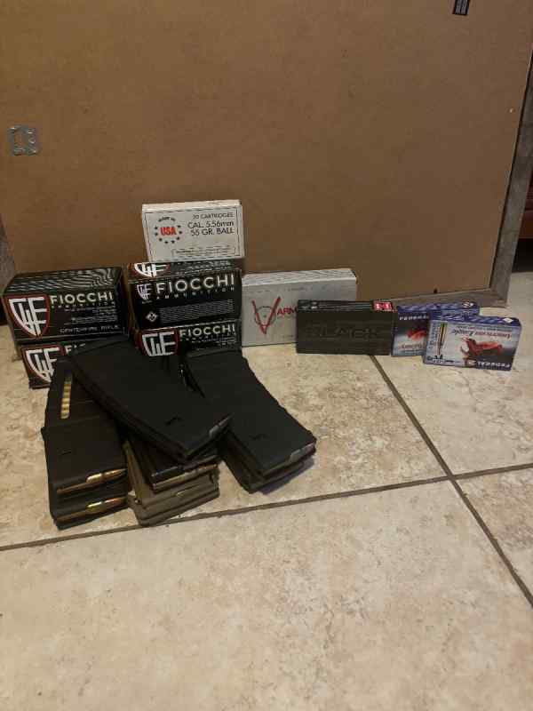 500 rds 223/556 and 7 AR mags