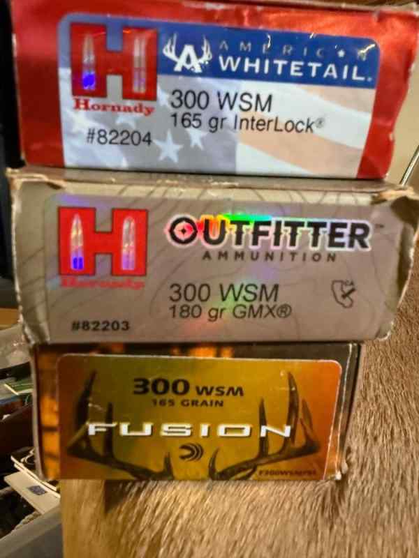 300 WSM AMMO---$65