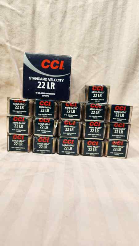 CCI 22LR