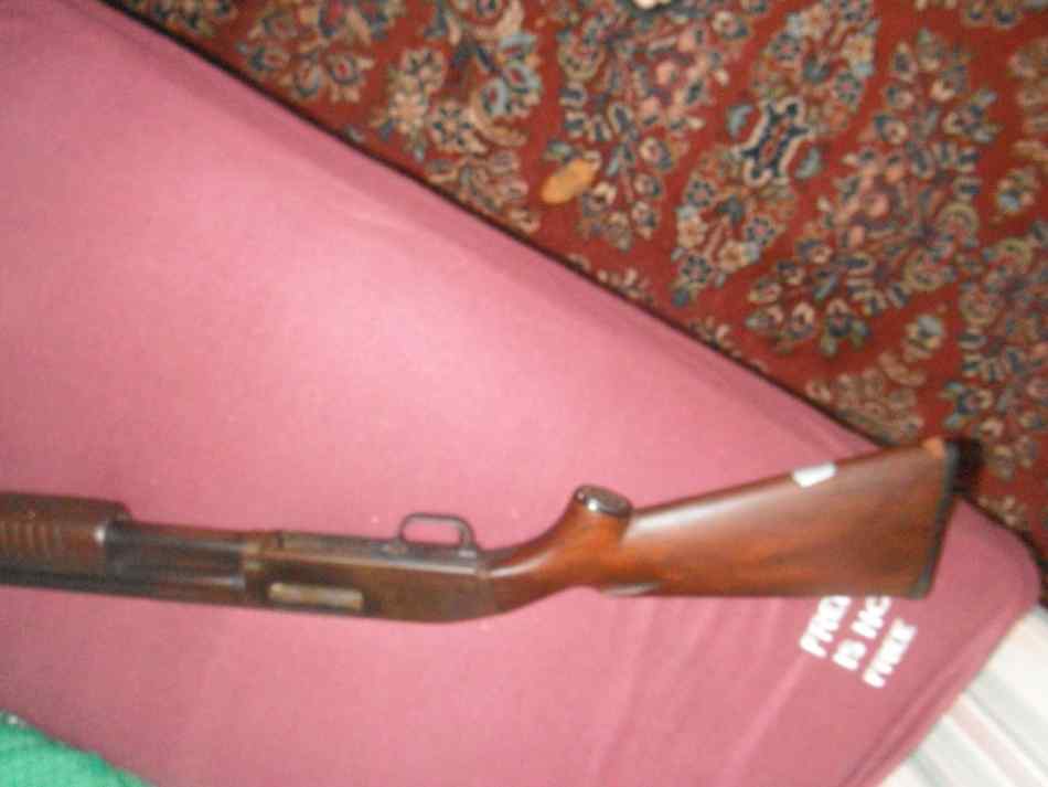 DSCF1329.JPG