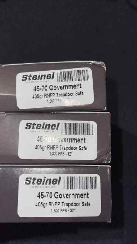 Steinel 45-70 ammo