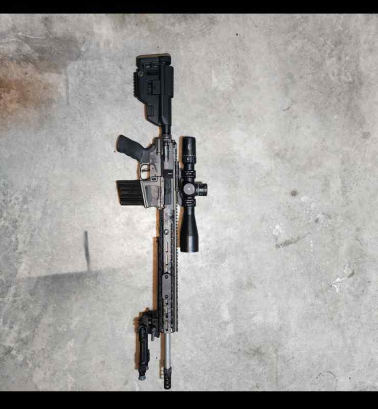 AR10 in 308