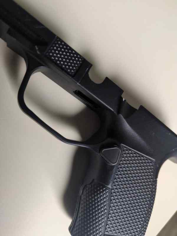 P365 Standard Icarus Precision A.C.E. 365 Hybrid - Imgur(8).jpg