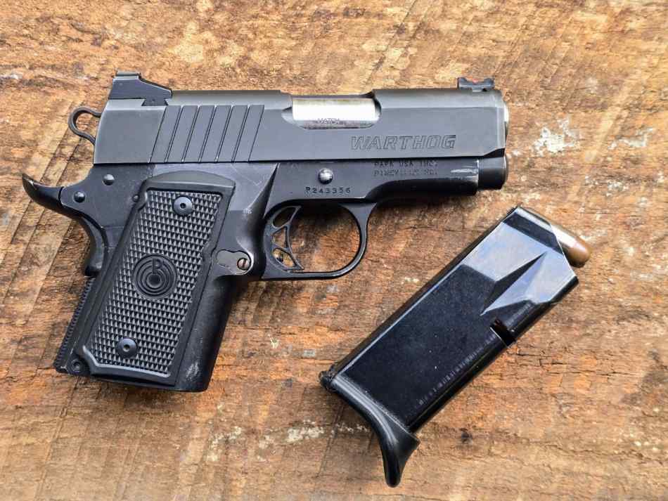 Para ordinance warthog 1911 ds