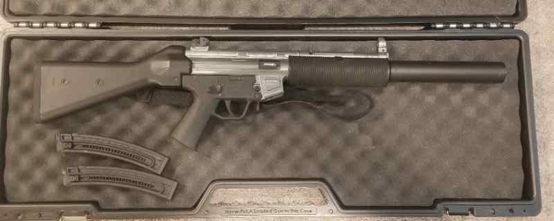 ATI/German Sport Guns GSG-5 .22LR