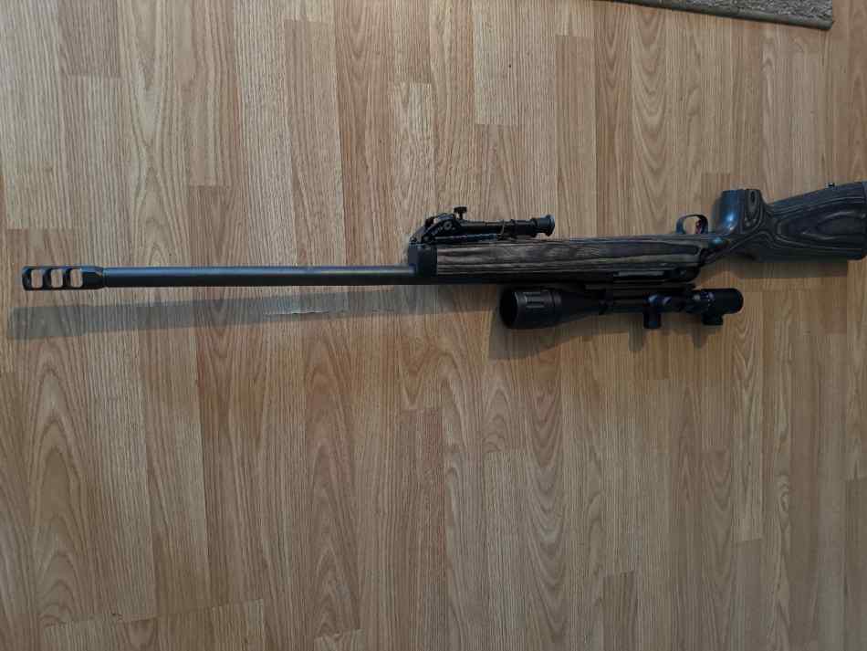 Various guns