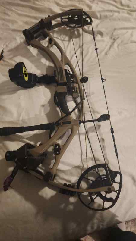 Hoyt rx7.   Bow/archery