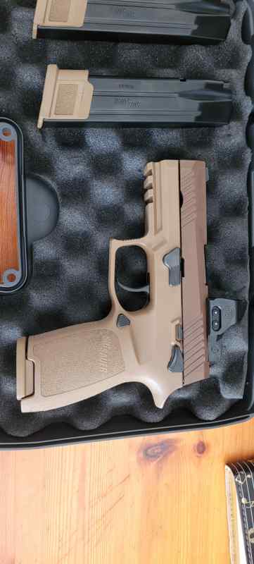 Sig Sauer M18 carry model