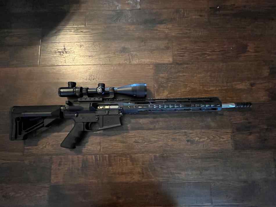 AR-10