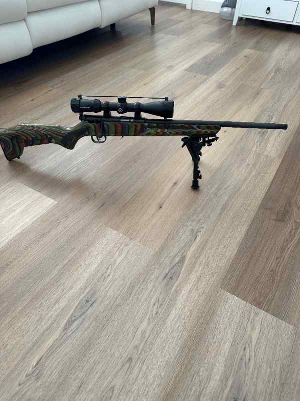 Savage model 93 .17hmr