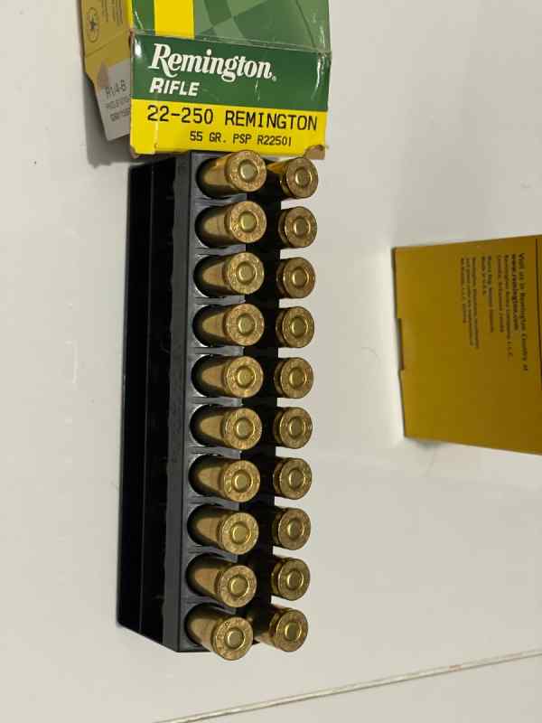 22-250 Remington 22-250 55grain 22501