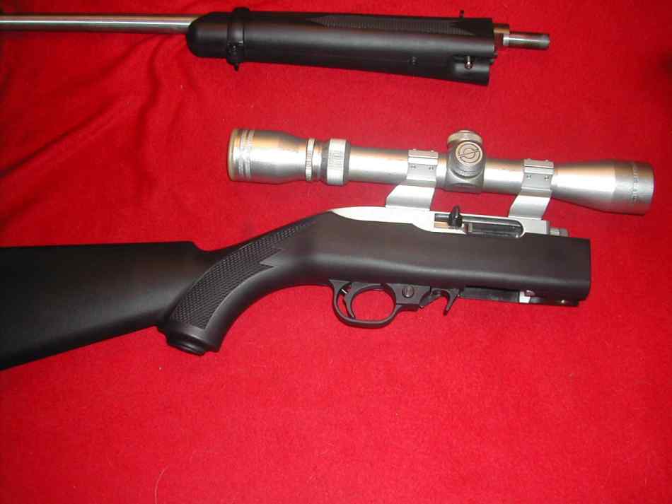 Ruger 1022 ss take down