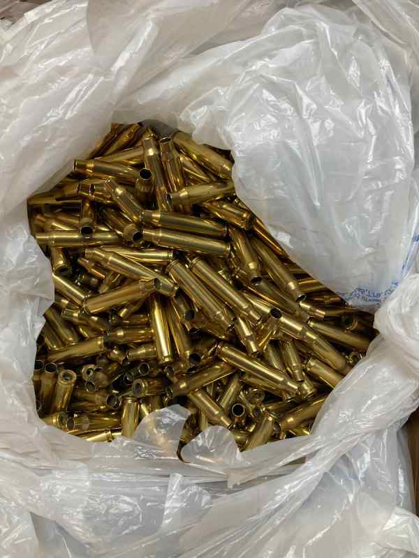 Processed .223 Brass and Small Rifle Primers